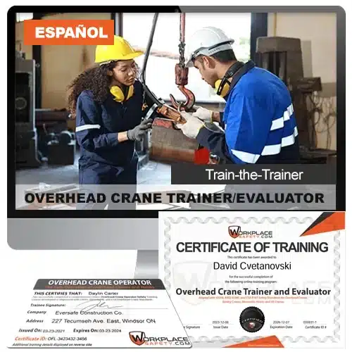 Spanish Overhead Crane Trainer and Evaluator Online Certification